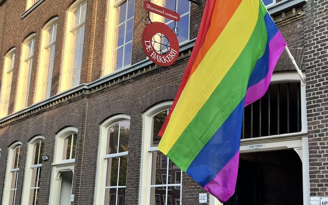 regenboogvlag